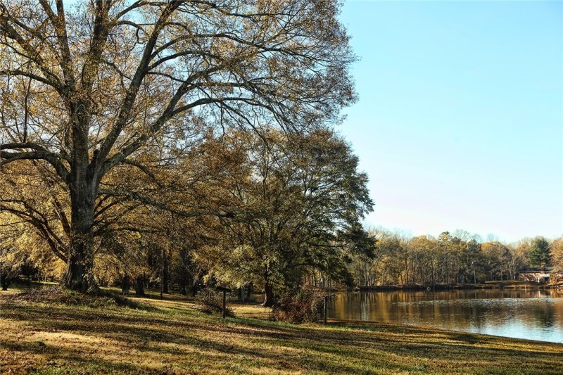 Property image 4 at 217 Blue Barker Road, Honea Path, SC 29654