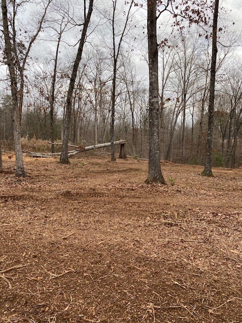 Property image 2 at 66 Falling Waters Drive, Seneca, SC 29672