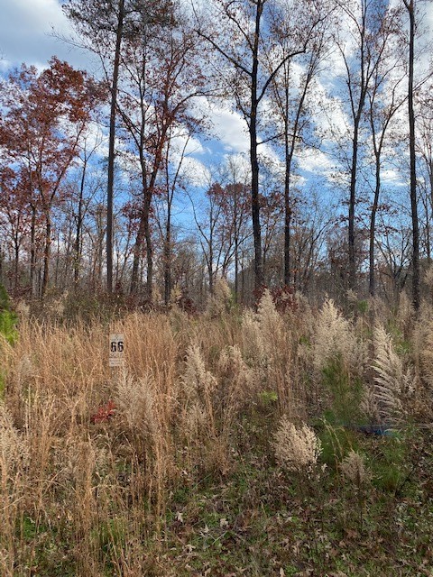 Property image 3 at 66 Falling Waters Drive, Seneca, SC 29672