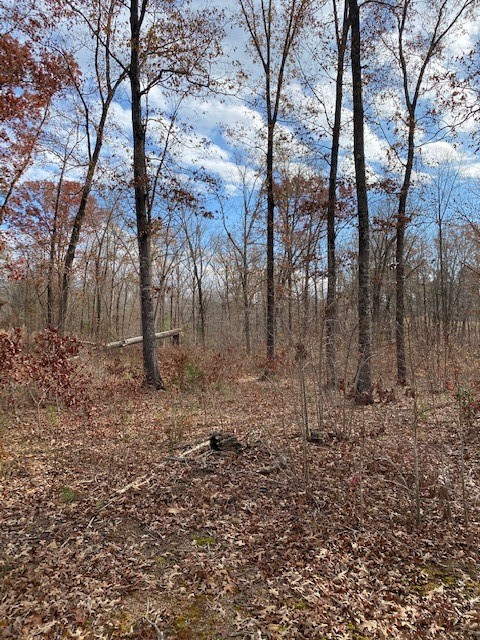 Property image 5 at 66 Falling Waters Drive, Seneca, SC 29672