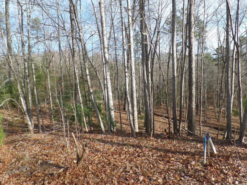 Property image 3 at 118 Holly Hill, Sunset, SC 29685