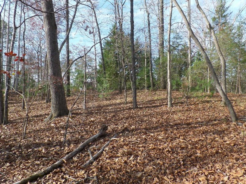 Property image 5 at 118 Holly Hill, Sunset, SC 29685