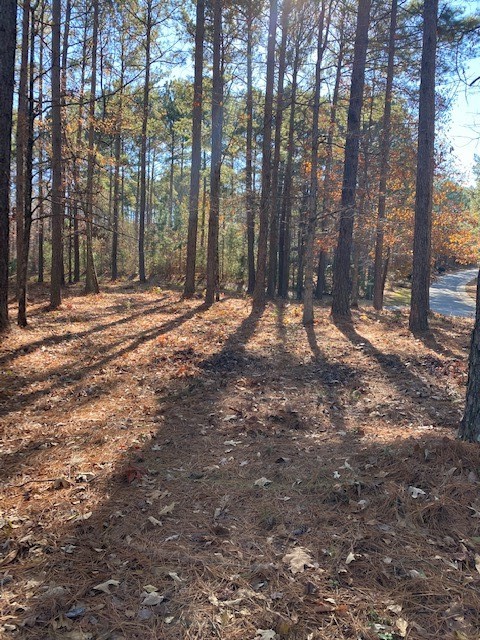 Property image 2 at 412 E. Waterside Drive, Seneca, SC 29672