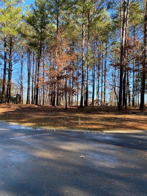 Property image 4 at 412 E. Waterside Drive, Seneca, SC 29672