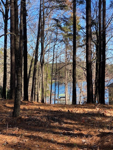 Property image 5 at 412 E. Waterside Drive, Seneca, SC 29672