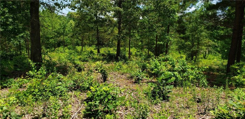 Property image 2 at Lot 57 Twin View Drive, Westminster, SC 29693