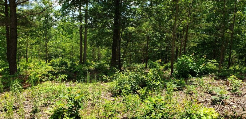 Property image 3 at Lot 57 Twin View Drive, Westminster, SC 29693