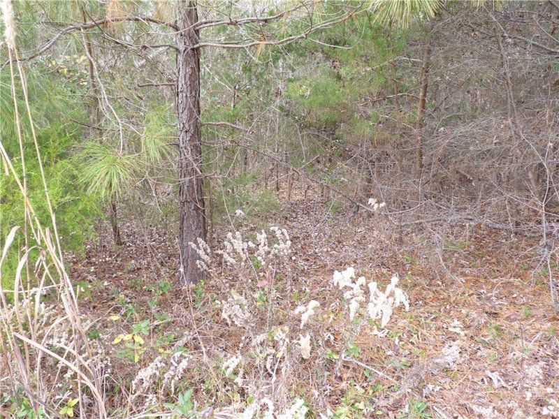 Property image 4 at 204 Sandy Point Drive, Anderson, SC 29625