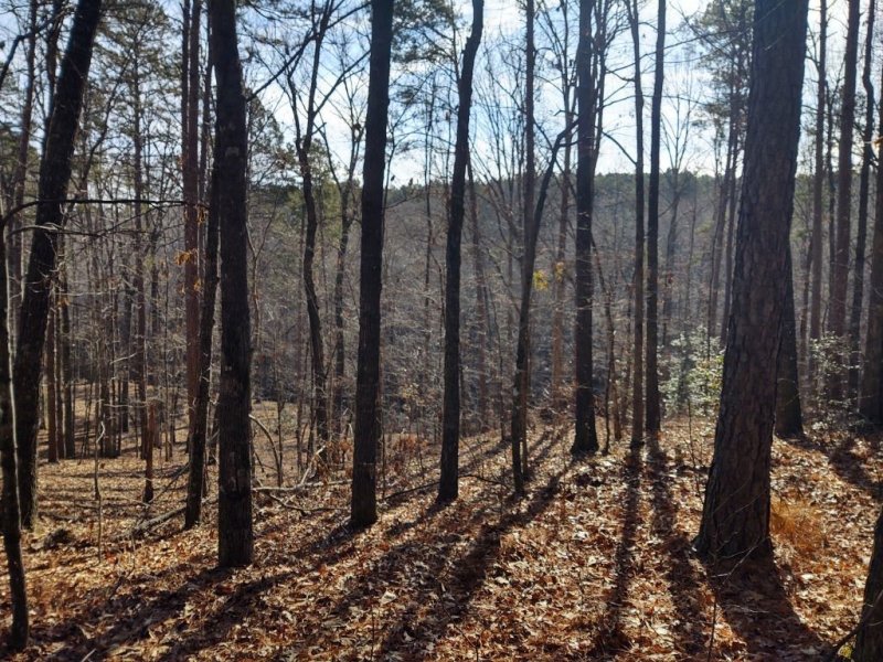 Property image 2 at Lot 127 Longwood Drive, Seneca, SC 29672