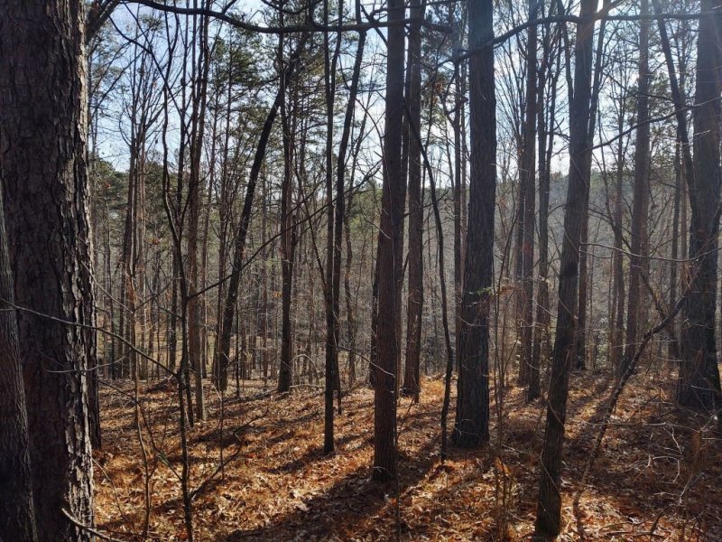 Property image 3 at Lot 127 Longwood Drive, Seneca, SC 29672