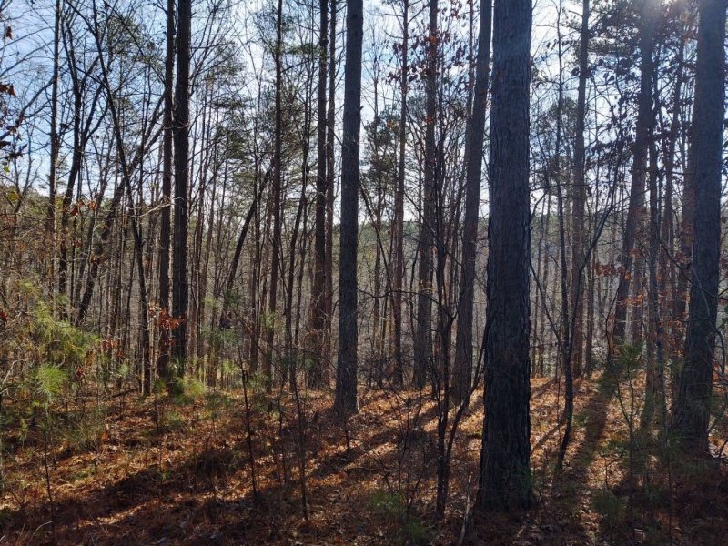 Property image 4 at Lot 127 Longwood Drive, Seneca, SC 29672