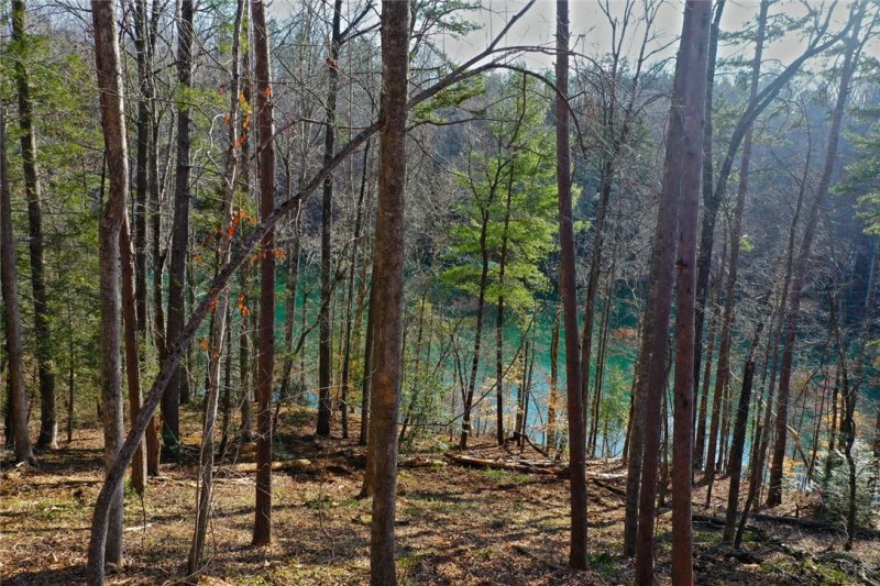 Property image 4 at Lot 7 Shallowford (125 Running Bear Lane), Sunset, SC 29685