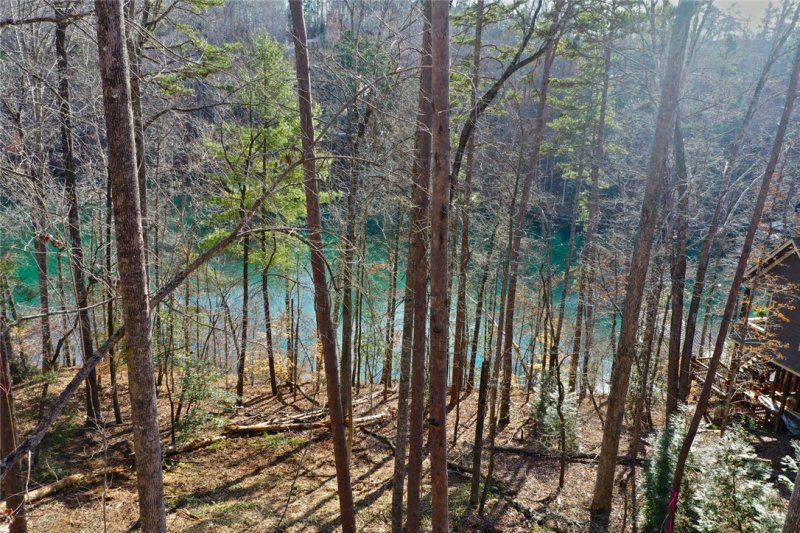 Property image 5 at Lot 7 Shallowford (125 Running Bear Lane), Sunset, SC 29685