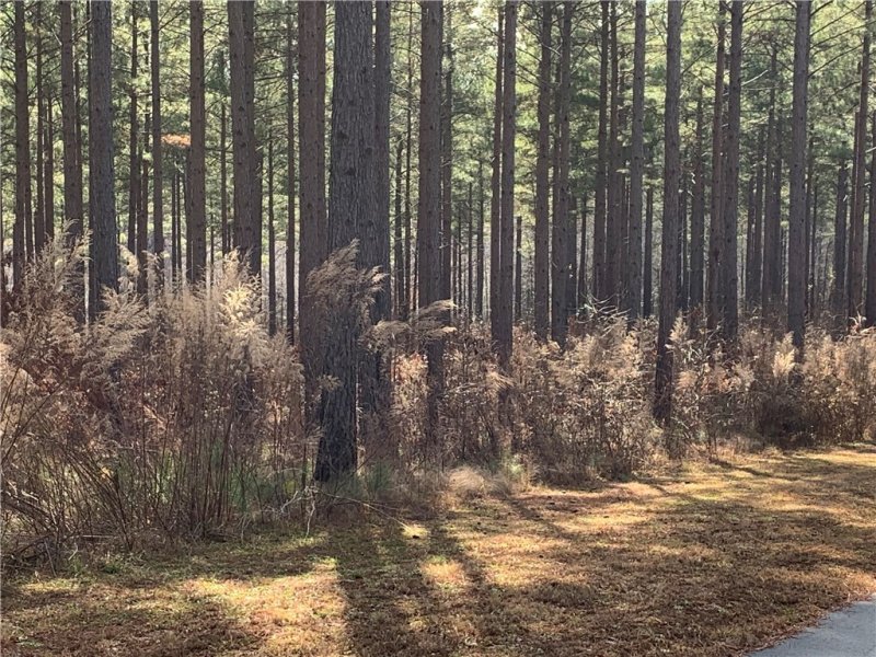 Property image 2 at 00 High Pines Drive, Salem, SC 29676