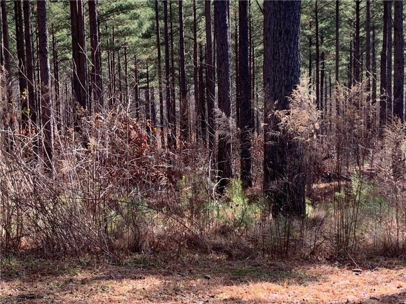 Property image 3 at 00 High Pines Drive, Salem, SC 29676