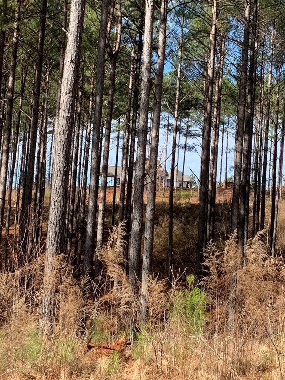 Property image 4 at 00 High Pines Drive, Salem, SC 29676