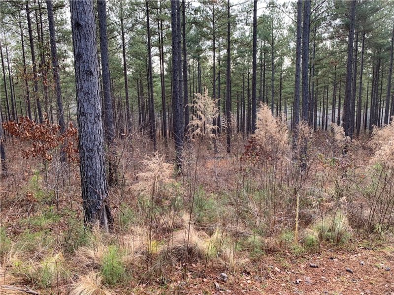 Property image 5 at 00 High Pines Drive, Salem, SC 29676