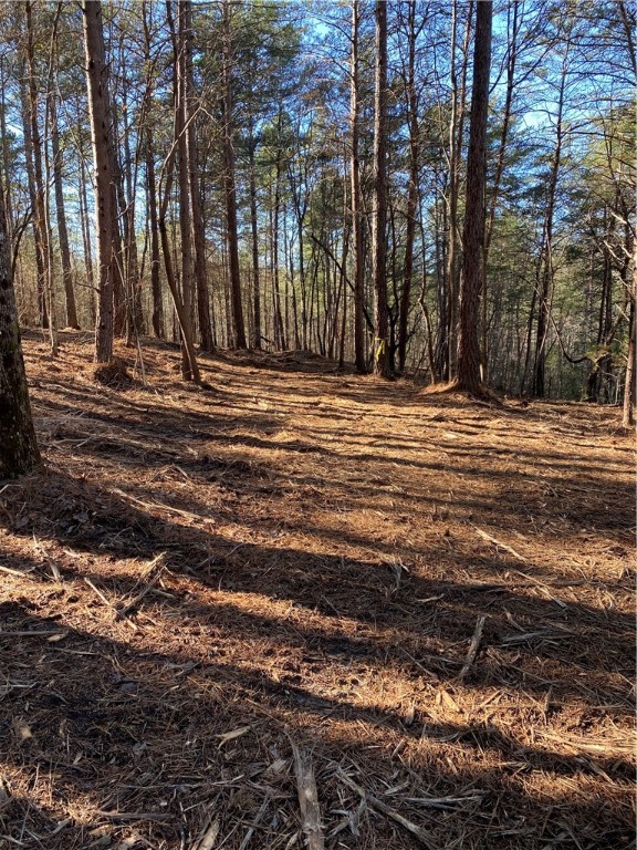 Property image 4 at 00 Inwood Court, Seneca, SC 29672