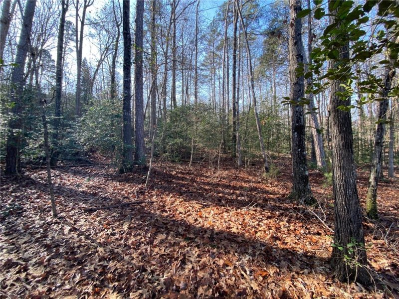 Property image 2 at 133 Sweet Gum Drive, Westminster, SC 29693