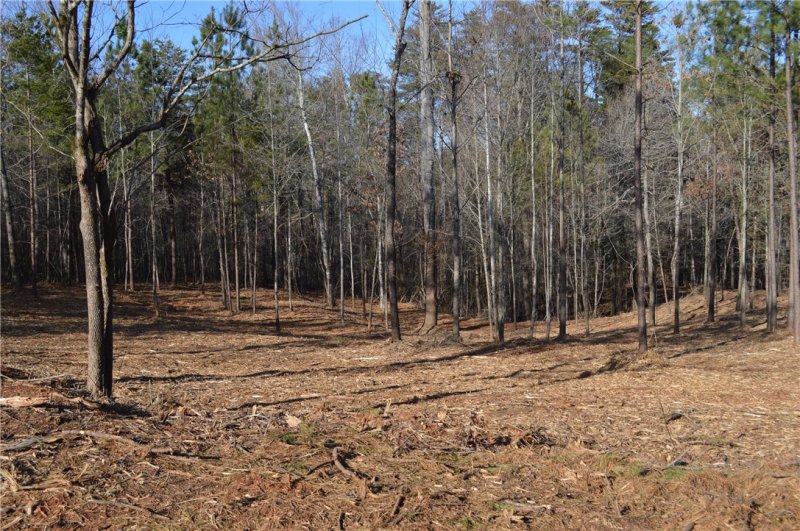 Property image 2 at Lot 1 Stokes Drive, Seneca, SC 29672