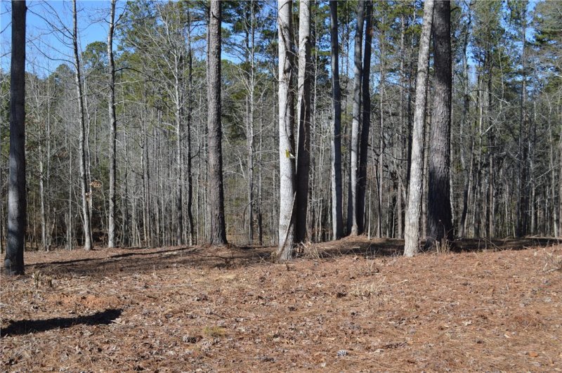 Property image 3 at Lot 1 Stokes Drive, Seneca, SC 29672