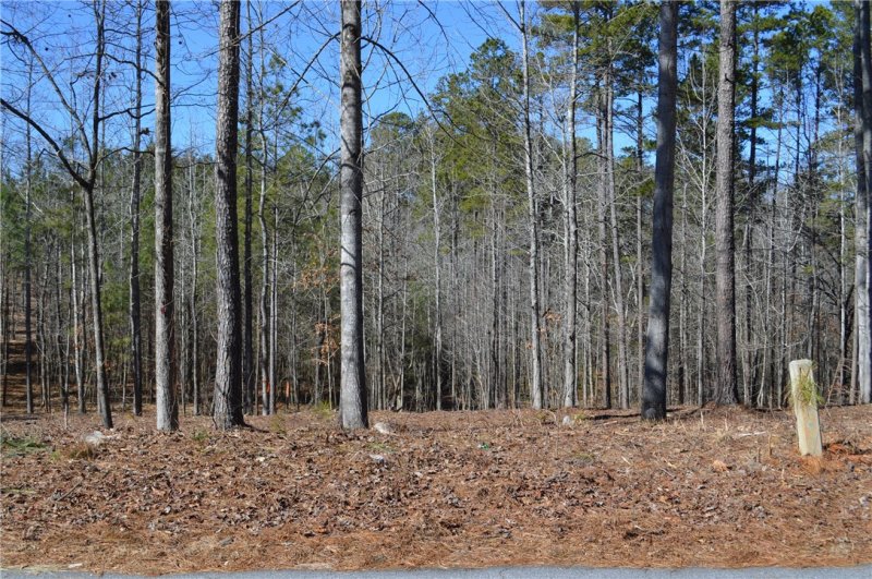 Property image 4 at Lot 1 Stokes Drive, Seneca, SC 29672