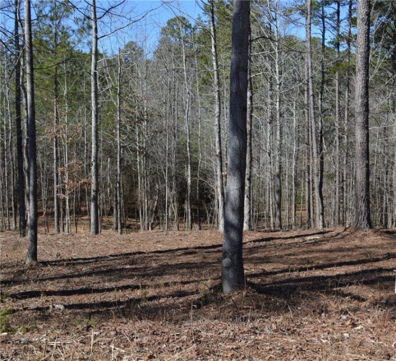 Property image 5 at Lot 1 Stokes Drive, Seneca, SC 29672