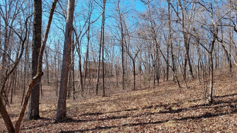 Property image 3 at 135 Julie Way, Pickens, SC 29671