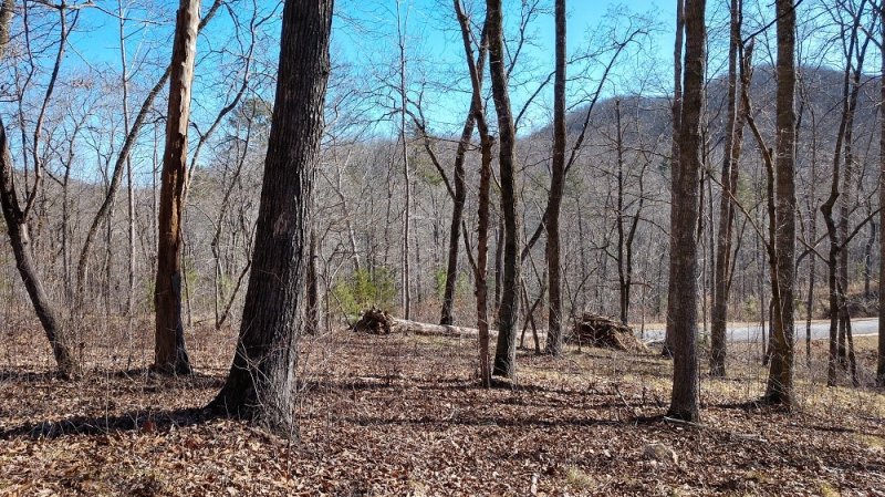 Property image 5 at 135 Julie Way, Pickens, SC 29671