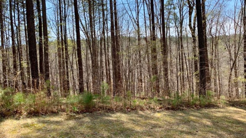 Property image 5 at Lot 125 Longwood Drive, Seneca, SC 29672
