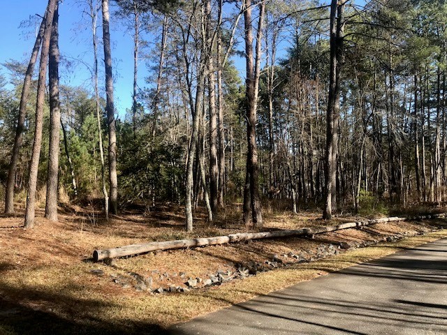 Property image 2 at Lot 126 Keowee Bay Circle, Salem, SC 29676