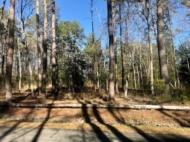 Property image 4 at Lot 126 Keowee Bay Circle, Salem, SC 29676