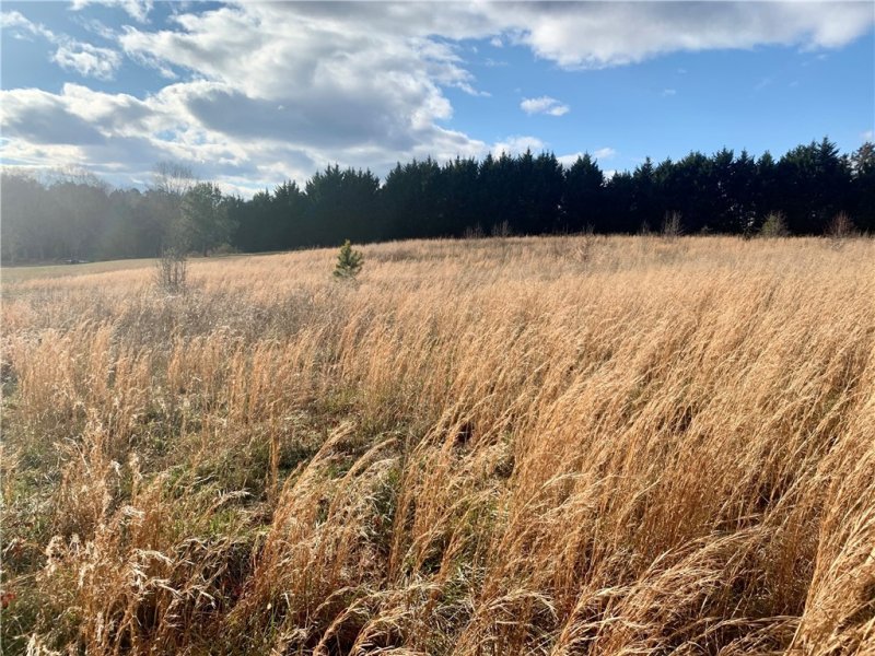 Property image 3 at 208 Chestnut Springs Way, Williamston, SC 29697