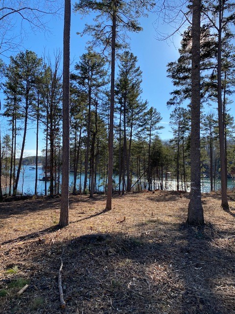 Property image 3 at TBD Bay Harbor Lane, Seneca, SC 29672