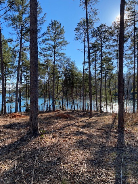 Property image 4 at TBD Bay Harbor Lane, Seneca, SC 29672