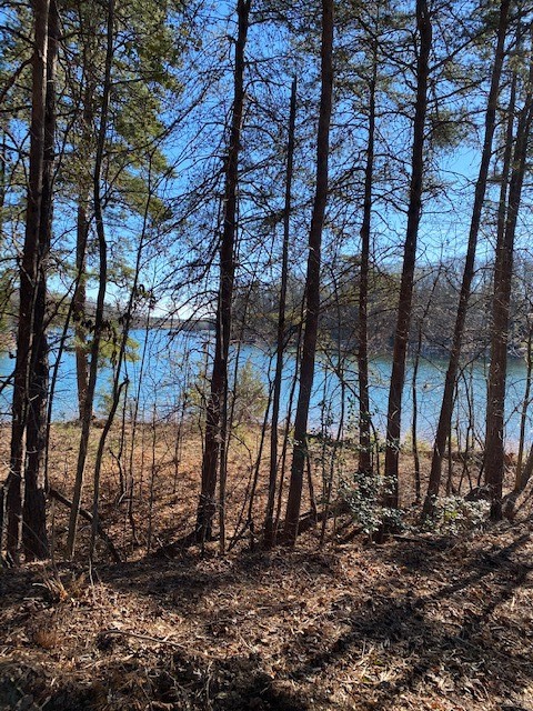 Property image 5 at TBD Bay Harbor Lane, Seneca, SC 29672