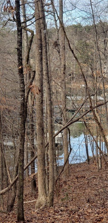 Property image 3 at Lot 63 Falling Water Lane, Seneca, SC 29672