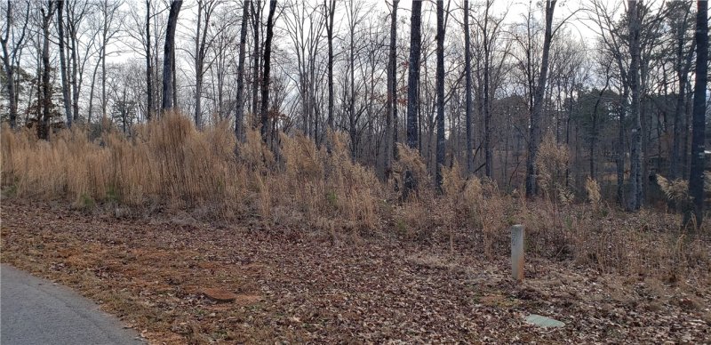 Property image 4 at Lot 63 Falling Water Lane, Seneca, SC 29672