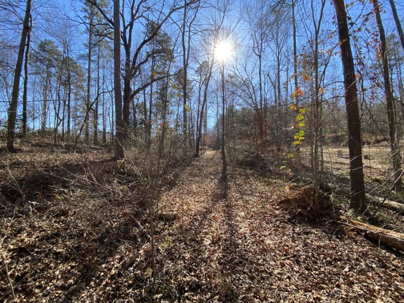 Property image 3 at 0 Moonlight Bay, Fair Play, SC 29643