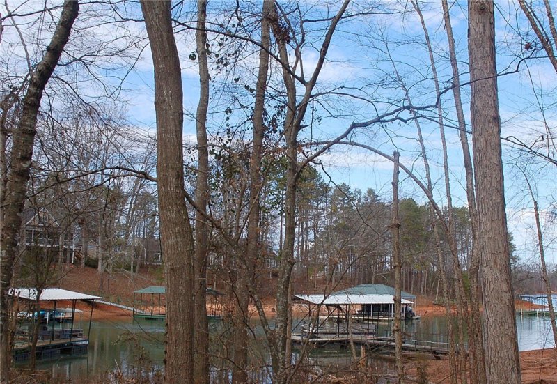 Property image 3 at 153 Teepee Lane, Lavonia, GA 30553