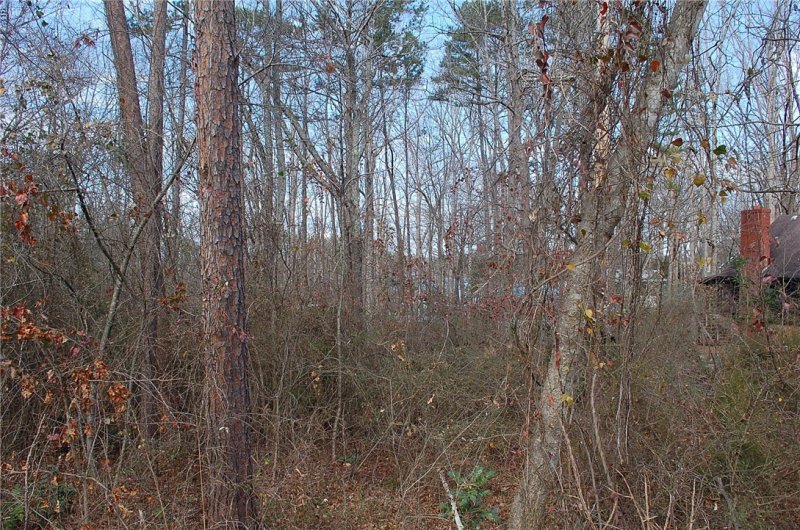 Property image 5 at 153 Teepee Lane, Lavonia, GA 30553