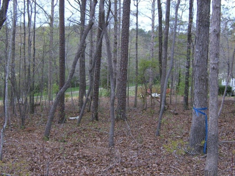 Property image 3 at 700 Cross Creek Drive, Seneca, SC 29678