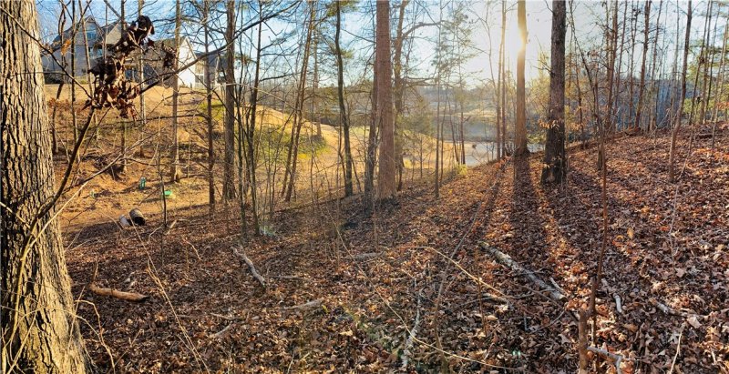 Property image 4 at 700 Cross Creek Drive, Seneca, SC 29678