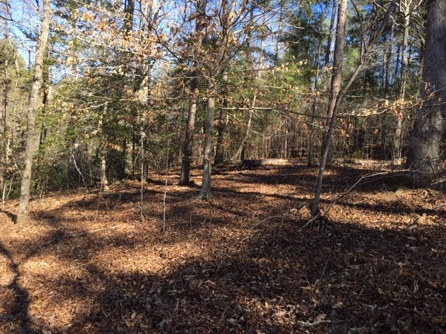 Property image 5 at 206 Rocky Springs Drive, Salem, SC 29676