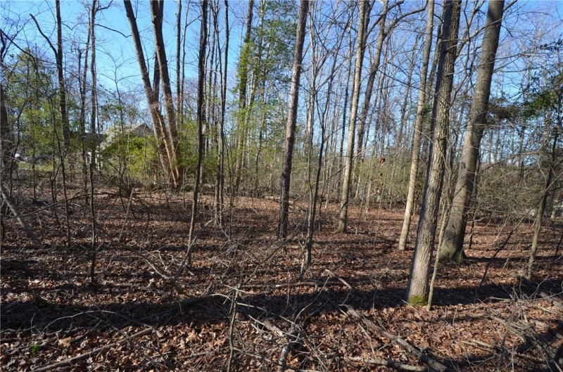 Property image 3 at Lots 66/67 Lakefront Road, Townville, SC 29689