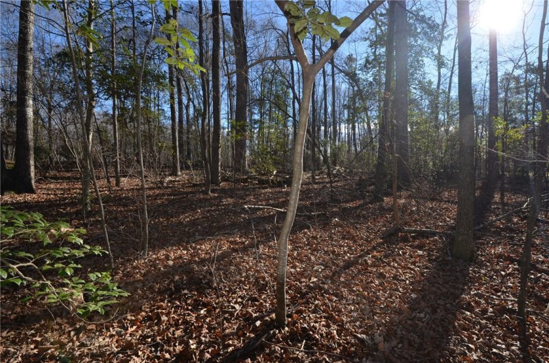 Property image 5 at Lots 66/67 Lakefront Road, Townville, SC 29689