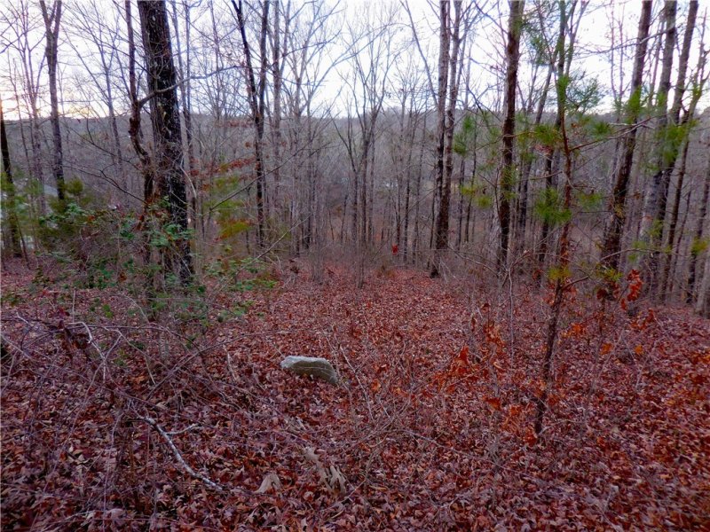 Property image 5 at Lot 34 Overlook Drive, Fair Play, SC 29643