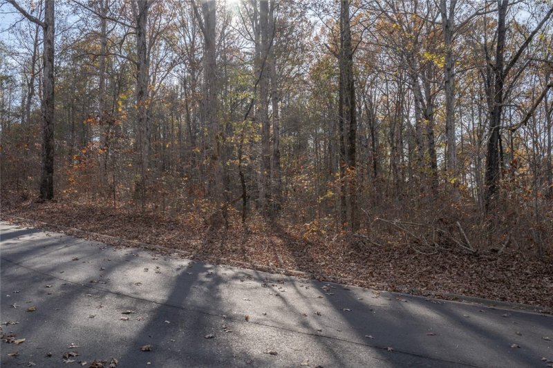 Property image 4 at 00 Watersedge Drive, Fair Play, SC 29643