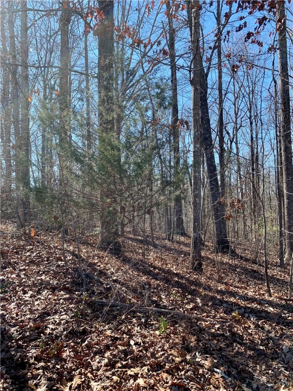 Property image 2 at 115 Ivy Woods Drive, Easley, SC 29642