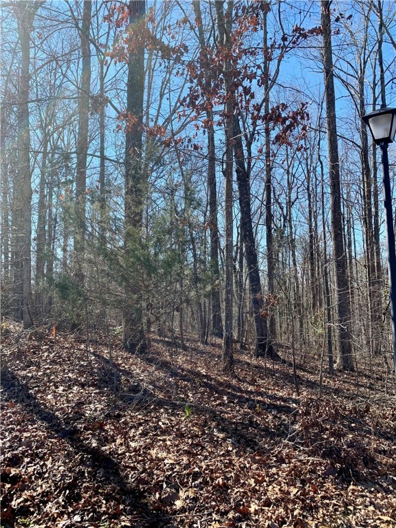 Property image 3 at 115 Ivy Woods Drive, Easley, SC 29642